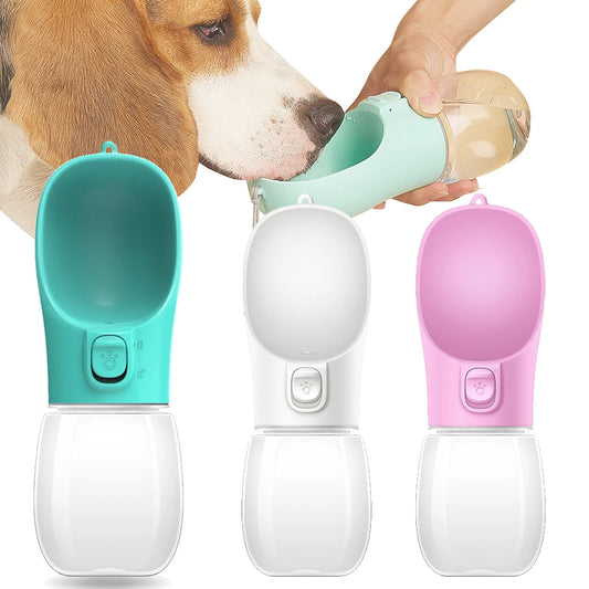 Hydration Buddy for Dogs